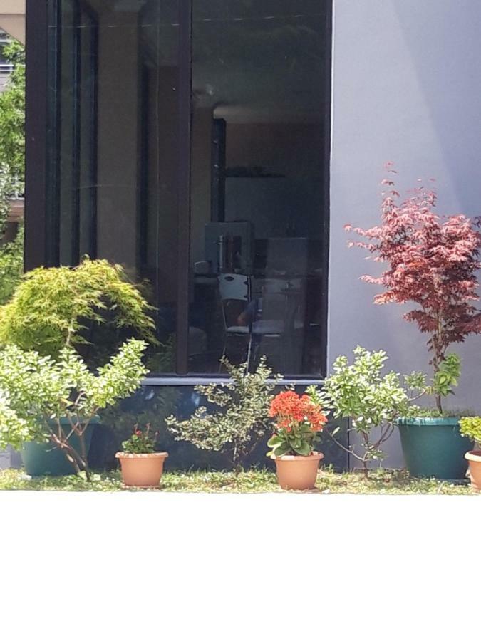 Cozy House Hotel Kobuleti Ngoại thất bức ảnh
